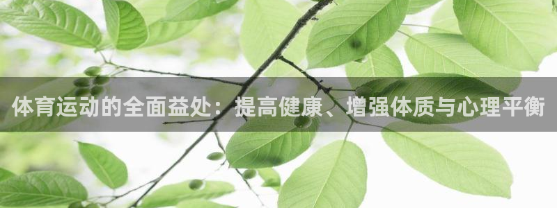 JJB竞技宝官网下载招商:体育运动的全面益处:提高健康、增强