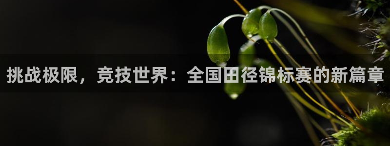 JJB竞技宝官方正版app娱乐是那个系列的台子:挑战极限,竞