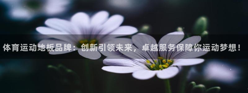 JJB竞技宝官方正版app娱乐是那个系列的台子:体育运动地板