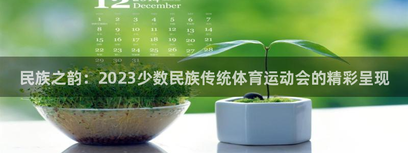 JJB竞技宝官网下载是干嘛的公司:民族之韵:2023少数民族