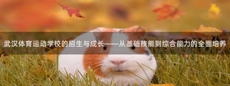 JJB竞技宝官网下载招商电话号码查询:武汉体育运动学校的招生